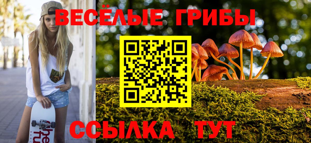Псилоцибиновые грибы мухоморы  Вход с VPN  Советск 